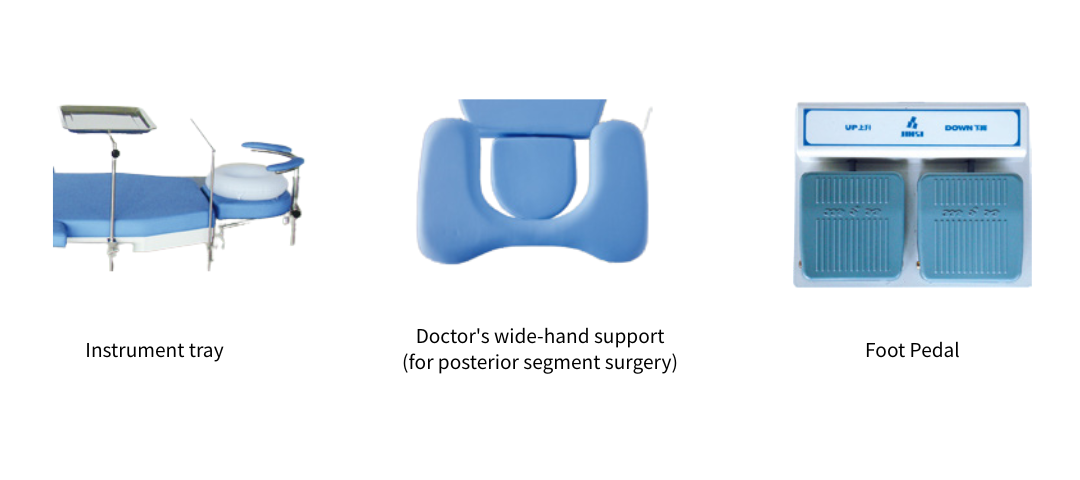 optional accessory 2031