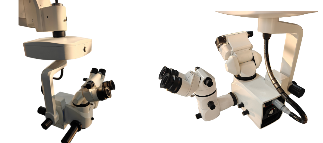 main and assistant microscope